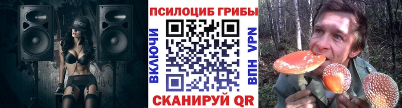 сколько стоит  блэк спрут вход  Псилоцибиновые грибы Psilocybe  Александровск-Сахалинский 